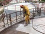 Комплект поставки стандартные принадлежности